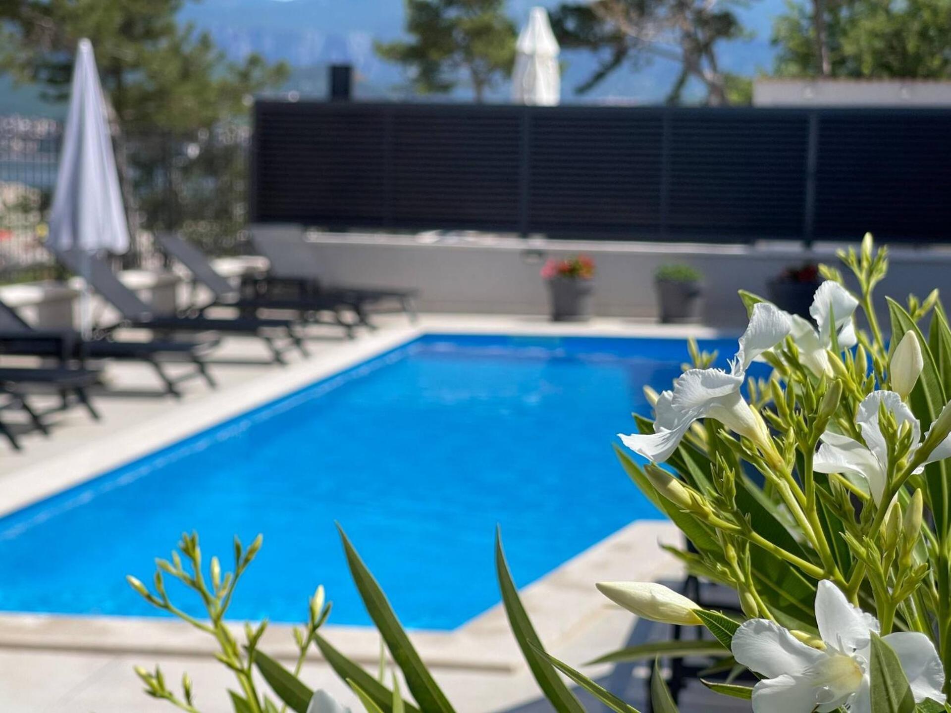 Villas Punta Silo - Luxury Apartments With Pool Eksteriør billede